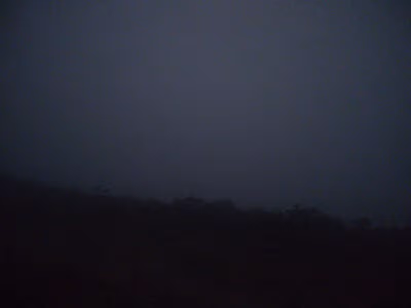 Oben ein stark verrauschtes, minimal hellerer Bildteil, unten in Schwarz die Silhouette einer bewachsenen Landschaft.
