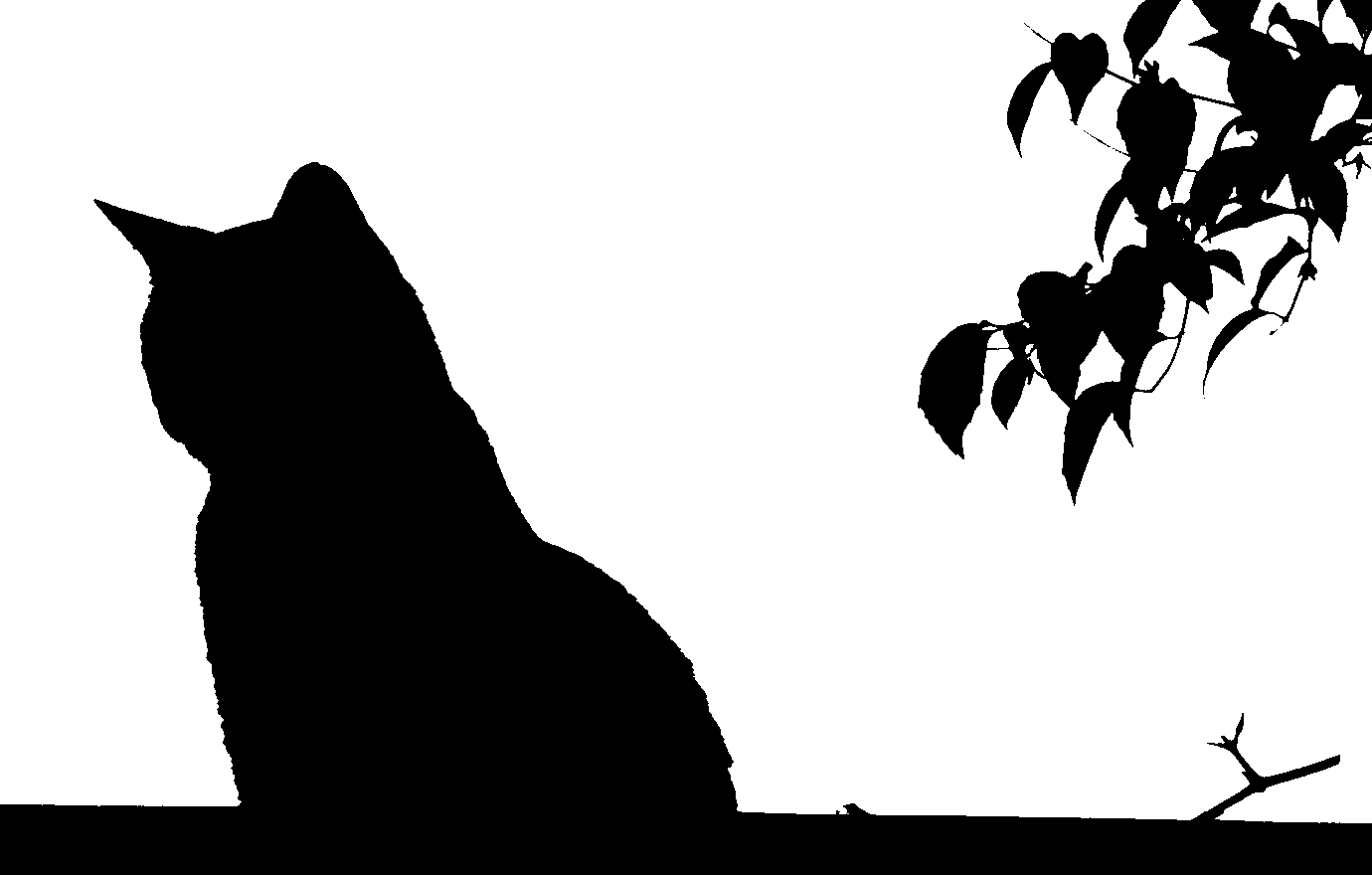 Binärvariante des oben beschriebenen Bildes, nur sind weniger interessante Teile weggeschnitten. Es bleibt der Kater, ein Zweig mit Blättern und der untere Fensterrahmen,