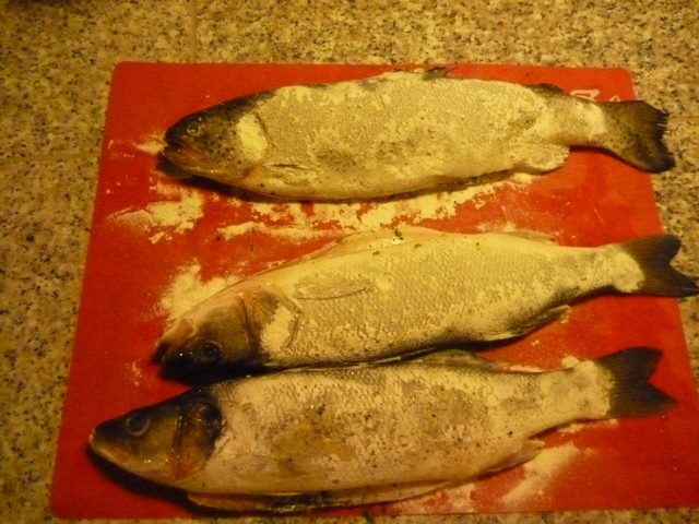 Fische mit Mehl bestäubt