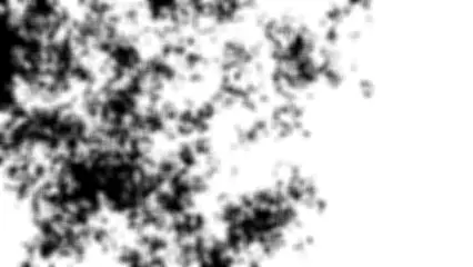 Unregelmäßige schwarze und weiße Flächen. Die Grenzen zwischen ihnen sind verwaschen.